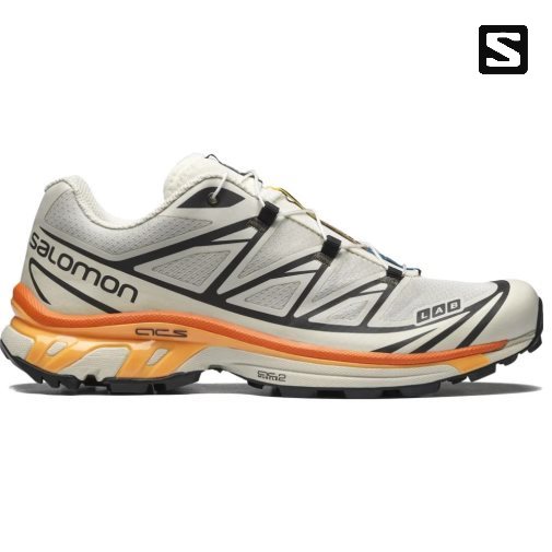 Cream Salomon Xt-6 Women's Sneakers | PH 05893R